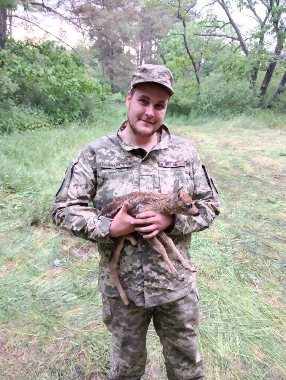 Додаткове фото 1